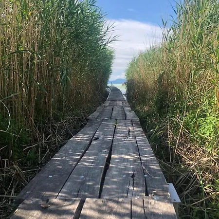 Igenyesen Berendezett Nyaralo Sajat Steggel, Kerti Grillel Balatonfenyvesen, Vizparti Utcaban, A Totol 50 M-re *