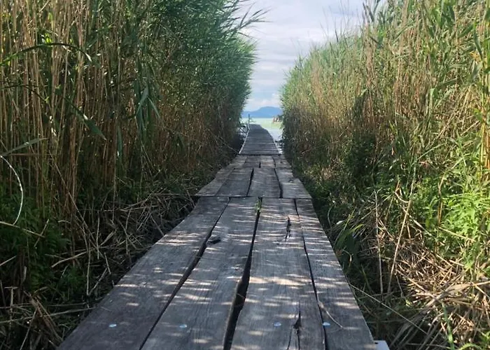 Igenyesen Berendezett Nyaralo Sajat Steggel, Kerti Grillel Balatonfenyvesen, Vizparti Utcaban, A Totol 50 M-re *